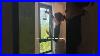 New_Released_Stained_Glass_Film_Tulip_Blue_From_Fancyfix_Fancyfixrenovation_Windowfilm_Fancyfix_01_ppx