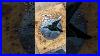 Stained_Glass_Course_Update_No_3_Stainedglass_Cozyhobbies_Artsandcrafts_Glassart_01_no